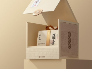  Thiết kế hộp cứng cao cấp